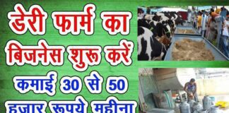Milk Dairy Farming Business Plan in Hindi