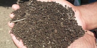 how to Compost All Type’s खाद at Home