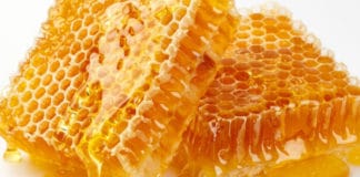 Honey Processing Business in Hindi शहद प्रसंस्करण व्यवसाय इसे कैसे बनाएं