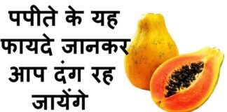 Raw पपीता के फायदे in Hindi (Papaya Benefits)