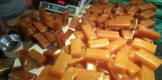 How to Start Mango Papad Making Business