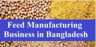 How to Make Cattle Feed Manufacturing Business