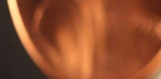 America Very Small 3D Robots Repair Injuries Inside The Human Body चींटी से भी छोटे आकार के हैं ये 3डी रोबोट, शरीर के अंदर जाकर करेंगे इलाज