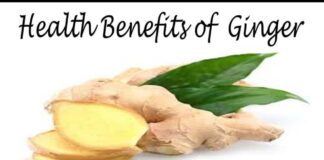 अदरक के फायदे in Hindi (Ginger Benefits)