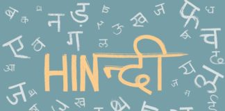 About Literature in Hindi