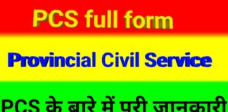 पीसीएस Kya Hai? PCS Full Form In Hindi