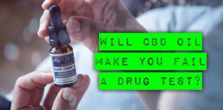 CBD ड्रग क्या है पूरी जानकारी in Hindi