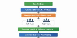 Vestige Business Plan 2026 Vestige Business Plan 2026