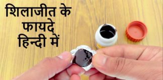 शिलाजीत Ten Benefits in Hindi