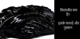 Shilajit क्या है फायदे और नुकसान in Hindi