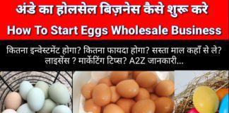 Egg का बिजनेस कैसे शुरू करे पूरी जानकारी