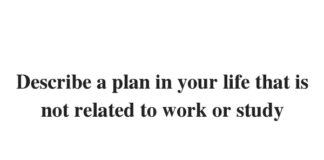 Describe a plan in your life that is not related to work or study
