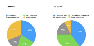IELTS Writing Task 1 Pie Chart Essay