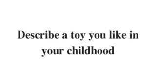 Describe a toy you liked in your childhood