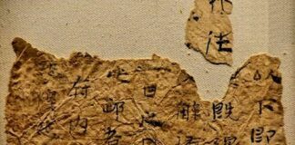 The History of First Paper