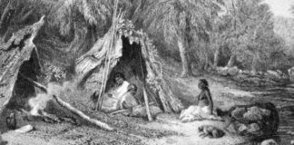 The History of First Mattress