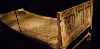 The History of First Bed