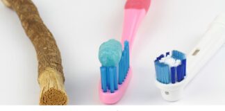 History of First Toothbrush