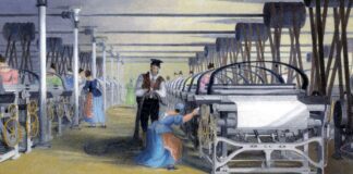 The History of the First Cotton Fabric