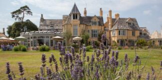 The Pig on the Beach Hotel History and Reviews