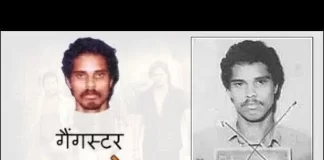 About Maya Dolas History, Biography, Case and Business