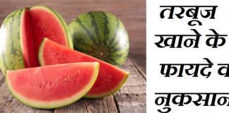 तरबूज के फायदे in Hindi (Watermelon Benefits)