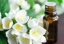 Jasmine Oil Benefits and Side Effects
