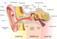 Ear Cancer Symptoms and Treatment