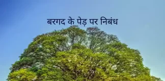 Banyan Tree की जानकारी in Hindi
