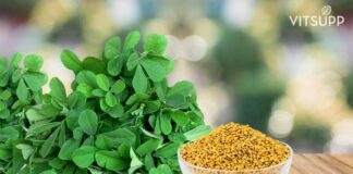 Fenugreek for Hair Growth Benefits and Side Effects