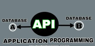 What is API in Hindi एपीआई क्या है
