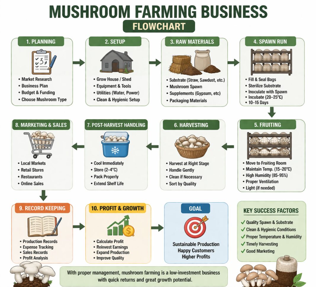 Mushroom Farming Business (Low Investment & Setup Cost) Mushroom Farming Business (Low Investment & Setup Cost)