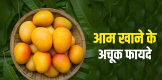 Mango Fruit की जानकारी in Hindi