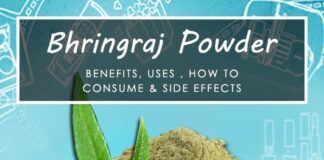 Bhringraj Powder for Hair Growth Benefits and Side Effects