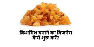 Start Kishmish Manufacturing Business in Hindi