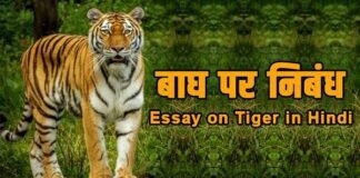 बाघ के बारे में जानकारी in Hindi