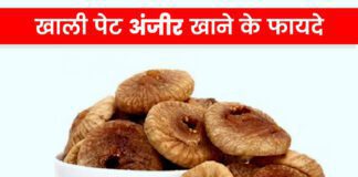 अंजीर के फायदे in Hindi (Anjeer Benefits)