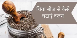 Chia Seeds Benefits in Hindi