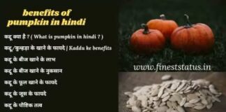 Pumpkin फायदे in Hindi