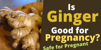 Ginger During Pregnancy Benefits and Side Effects
