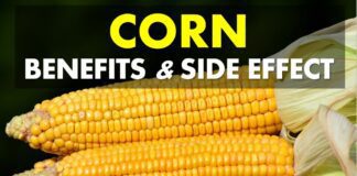 Corn Flour Benefit Effects and Side Effects