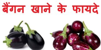 बैंगन के फायदे in Hindi (Brinjal Benefits)