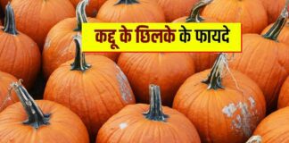 कद्दू के फायदे in Hindi (Pumpkin Benefits)