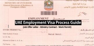 Dubai Work Visa Process in Hindi