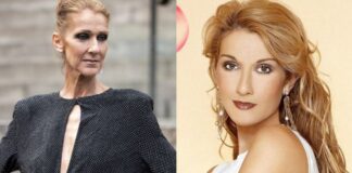 Celine Dion Biography in Hindi
