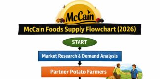McCain Foods Franchise Cost in India (Investment & How to Apply) McCain Foods Franchise Cost in India (Investment & How to Apply)