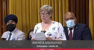Brenda Shanahan Net Worth and Biography