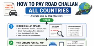 How to Pay Road Challan in Every Country (Official Government Link) How to Pay Road Challan in Every Country (Official Government Link)