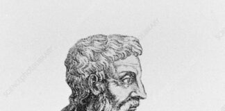 Pedanius Dioscorides Biography, Family and Net Worth Pedanius Dioscorides Biography in Hindi