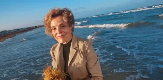 Sylvia Earle Biography, Family and Net Worth Sylvia Earle Biography in Hindi